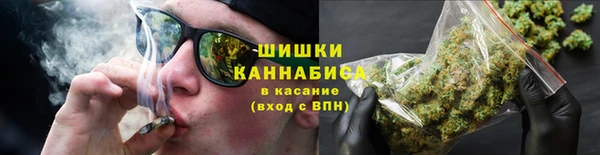 прущие грибы Кулебаки