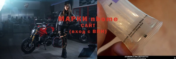 прущие грибы Кулебаки