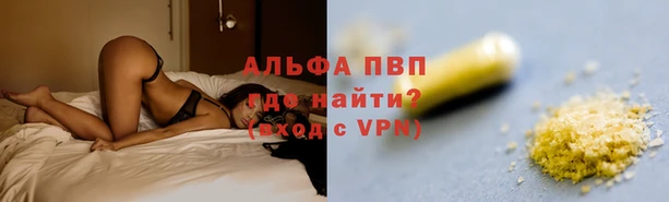 прущие грибы Кулебаки