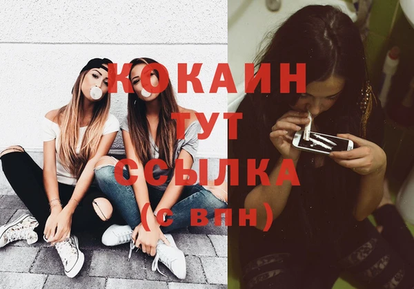 прущие грибы Кулебаки