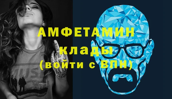 прущие грибы Кулебаки