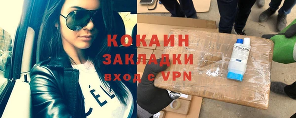 прущие грибы Кулебаки