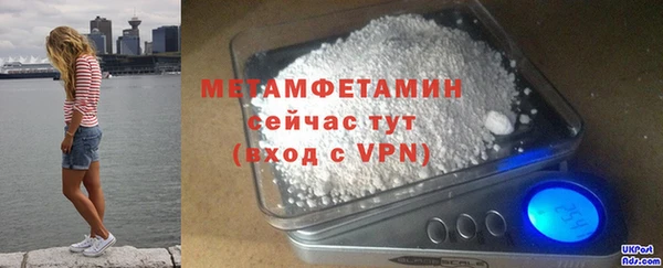 прущие грибы Кулебаки